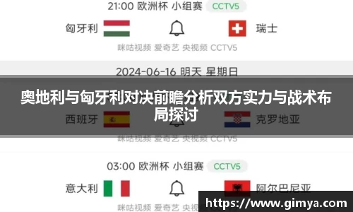 奥地利与匈牙利对决前瞻分析双方实力与战术布局探讨