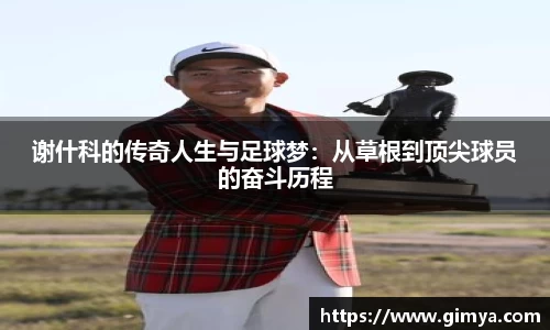 U8国际平台