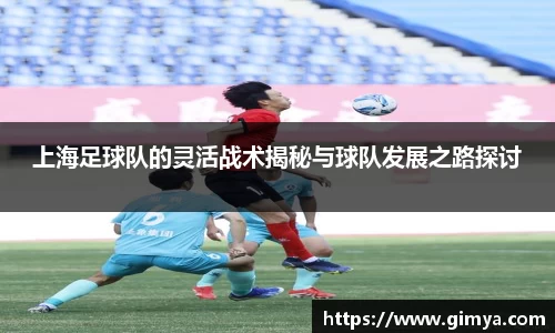 上海足球队的灵活战术揭秘与球队发展之路探讨