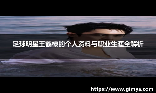 足球明星王鹤棣的个人资料与职业生涯全解析